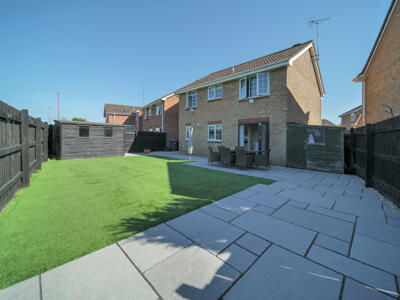 Picture 19